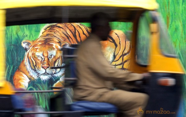 India's Amazing Street Art Photos