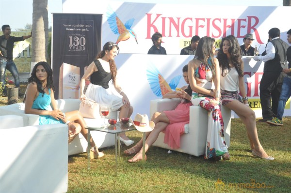 Kingfisher Calendar 2014 Launch Photos