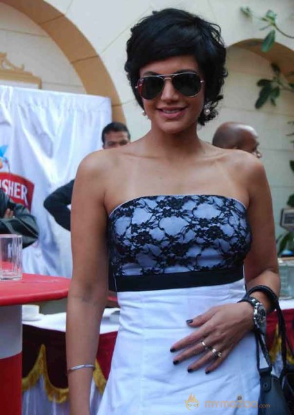 Kingfisher Calender Launch 