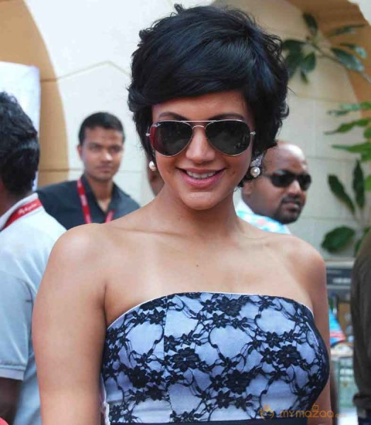 Kingfisher Calender Launch 