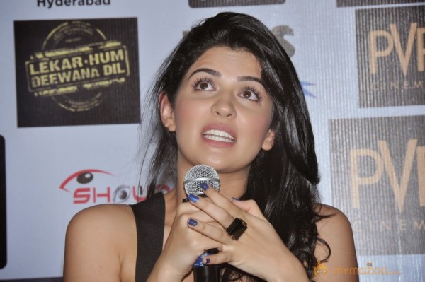 Lekar Hum Deewana Dil Movie Press Meet