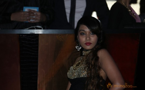Models and Celebrities at The Pink Affair Fashion Show Photos
