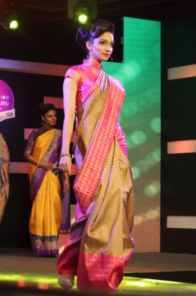 Palam Silks 15 Fashion Show of Happy Near Film Bollywood Stars Photos