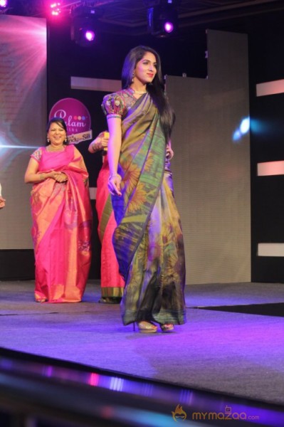 Palam Silks 15 Fashion Show of Happy Near Film Bollywood Stars Photos