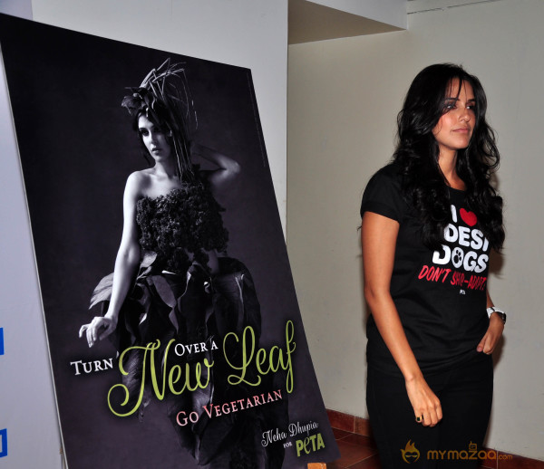 Peta Launch New Pro-Veg Add Campaign 