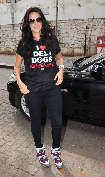 Peta Launch New Pro-Veg Add Campaign 