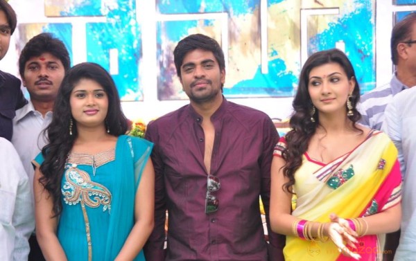 Tamasa Movie Latest Photos