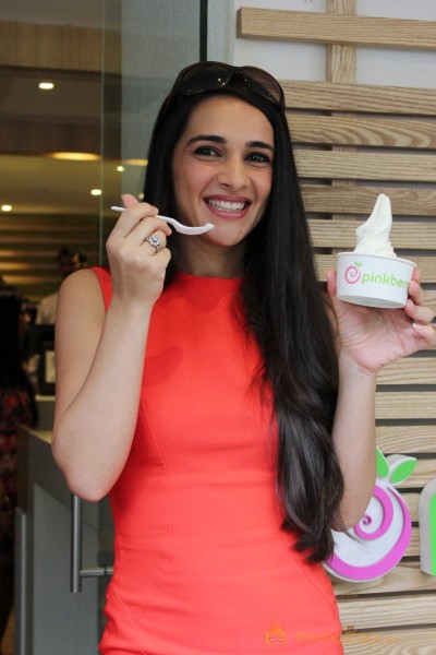 Tara Sharma At Pinkberry Launch Photos 