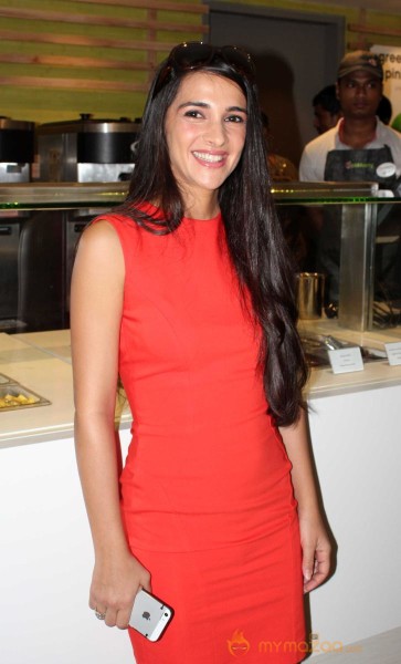 Tara Sharma At Pinkberry Launch Photos 