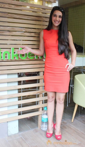 Tara Sharma At Pinkberry Launch Photos 