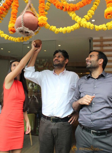 Tara Sharma At Pinkberry Launch Photos 