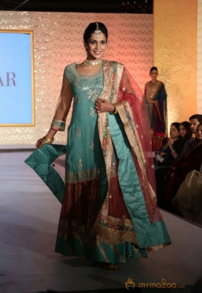 The Hindu Bridal Mantra 2014 Fashion week photos