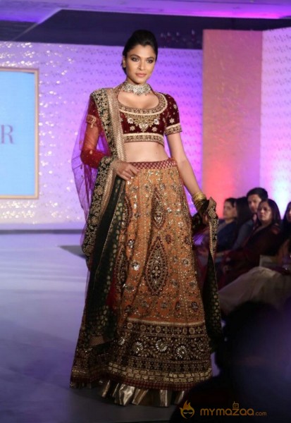 The Hindu Bridal Mantra 2014 Fashion week photos