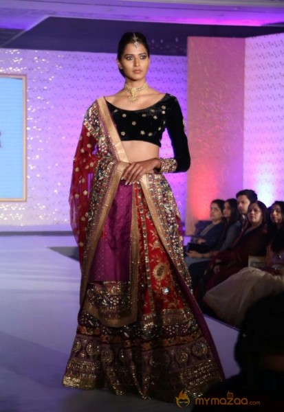 The Hindu Bridal Mantra 2014 Fashion week photos