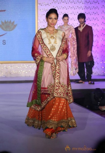 The Hindu Bridal Mantra 2014 Fashion week photos