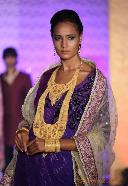 The Hindu Bridal Mantra 2014 Fashion week photos