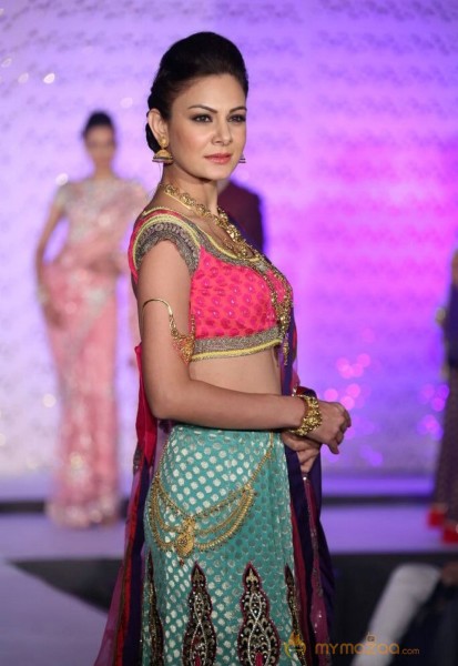 The Hindu Bridal Mantra 2014 Fashion week photos