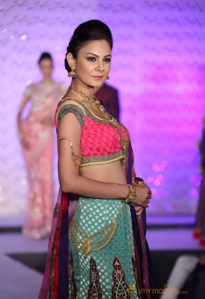 The Hindu Bridal Mantra 2014 Fashion week photos