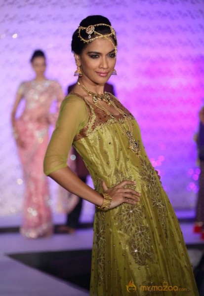 The Hindu Bridal Mantra 2014 Fashion week photos