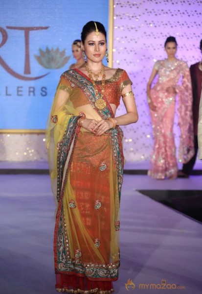 The Hindu Bridal Mantra 2014 Fashion week photos