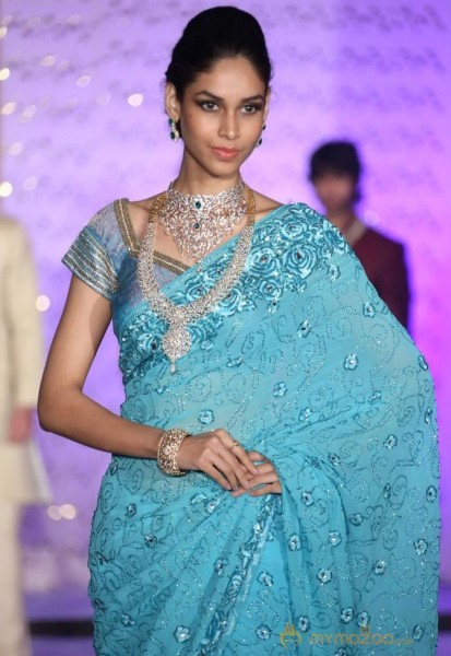 The Hindu Bridal Mantra 2014 Fashion week photos