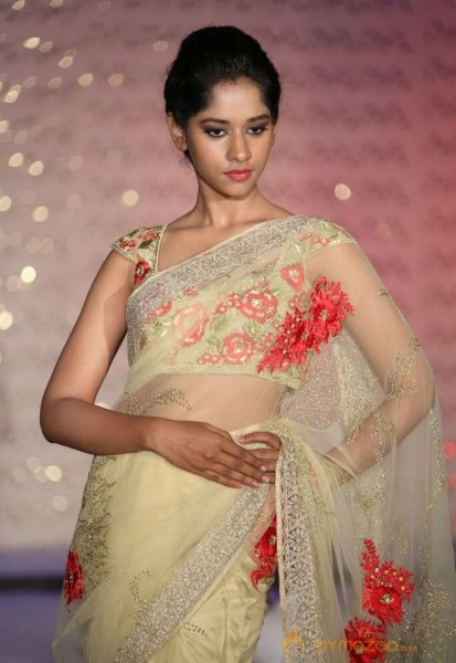 The Hindu Bridal Mantra 2014 Fashion week photos