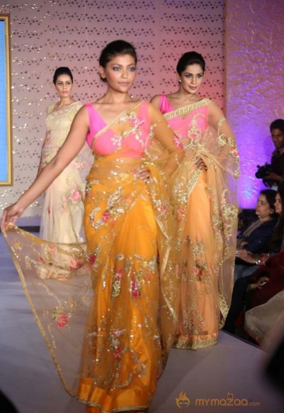 The Hindu Bridal Mantra 2014 Fashion week photos