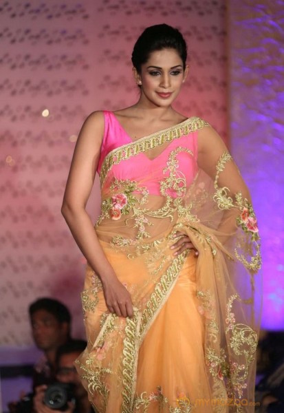 The Hindu Bridal Mantra 2014 Fashion week photos