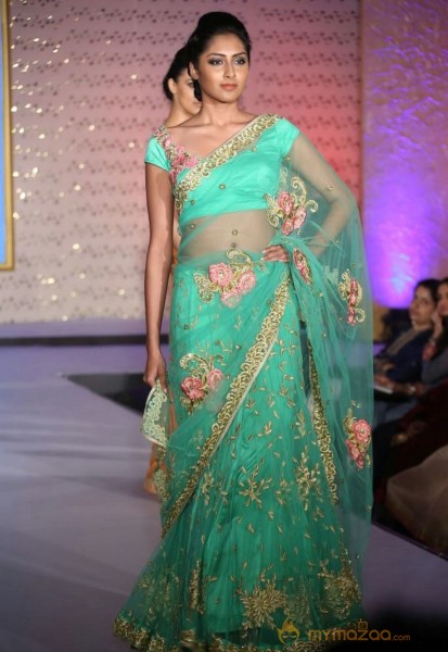 The Hindu Bridal Mantra 2014 Fashion week photos
