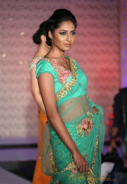 The Hindu Bridal Mantra 2014 Fashion week photos