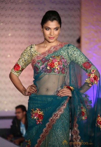 The Hindu Bridal Mantra 2014 Fashion week photos