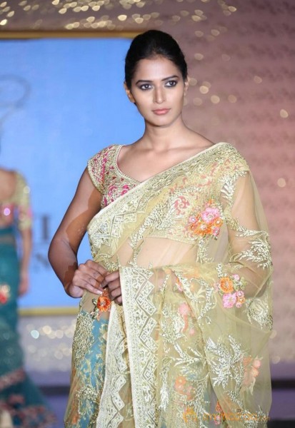 The Hindu Bridal Mantra 2014 Fashion week photos