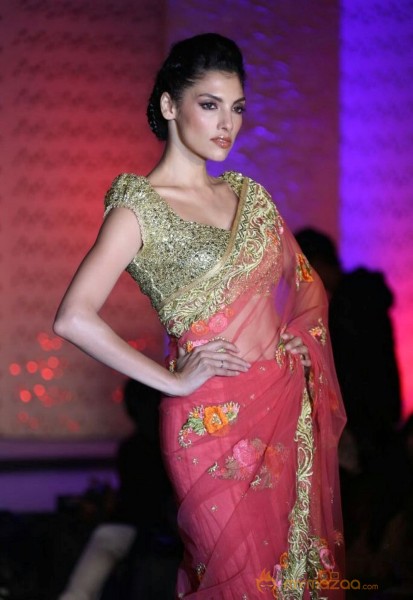 The Hindu Bridal Mantra 2014 Fashion week photos