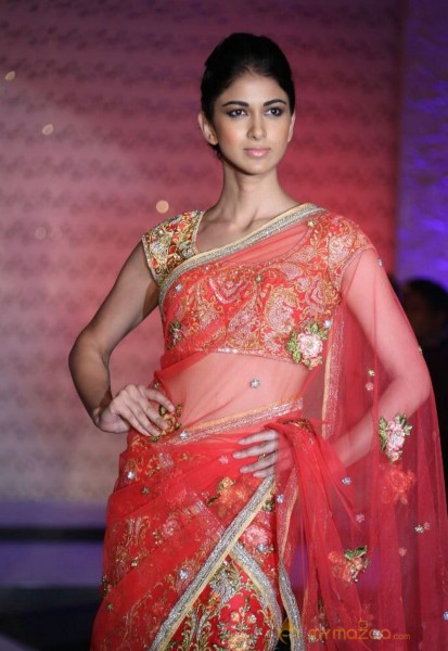 The Hindu Bridal Mantra 2014 Fashion week photos