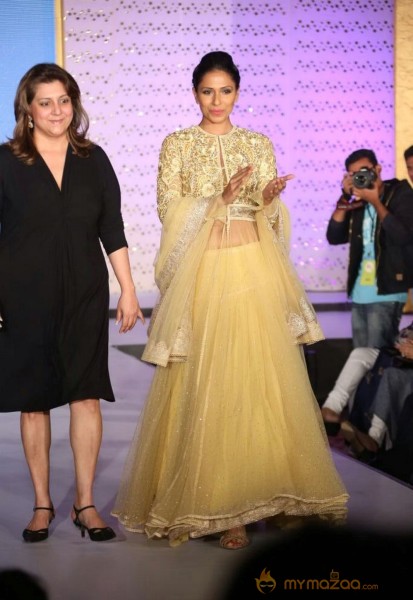 The Hindu Bridal Mantra 2014 Fashion week photos