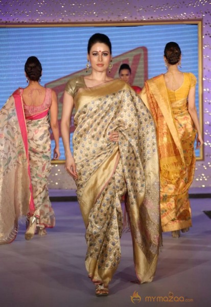 The Hindu Bridal Mantra 2014 Fashion week photos