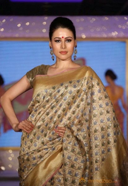 The Hindu Bridal Mantra 2014 Fashion week photos