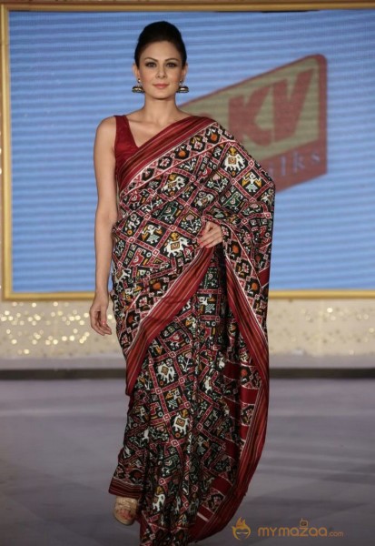 The Hindu Bridal Mantra 2014 Fashion week photos