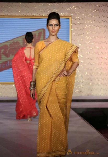 The Hindu Bridal Mantra 2014 Fashion week photos