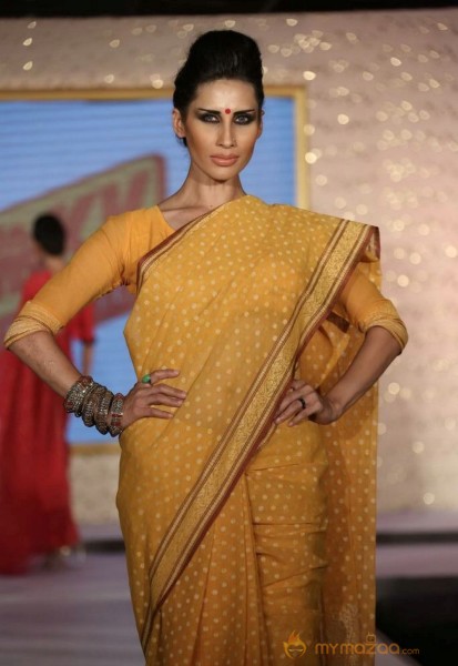 The Hindu Bridal Mantra 2014 Fashion week photos