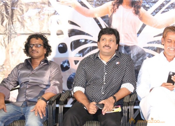 Welcome to America Movie Audio Launch Event Gallery