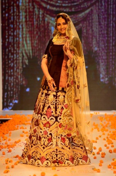 Zareen Khan at Iigj At Iijw 2014