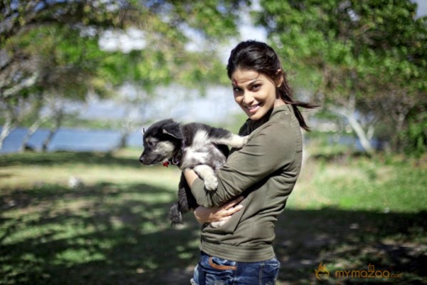 Go Goa Gone Movie Stills 