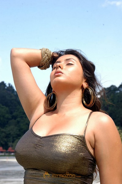 Hottest Namitha Photoshoot