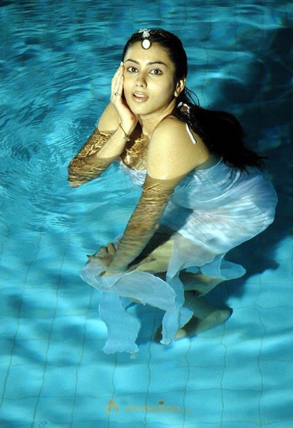 Hottest Namitha Photoshoot