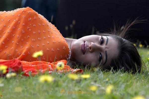 Nayanthara Photo Gallery