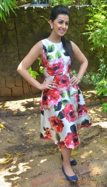 Nikki Galrani Latest Pics