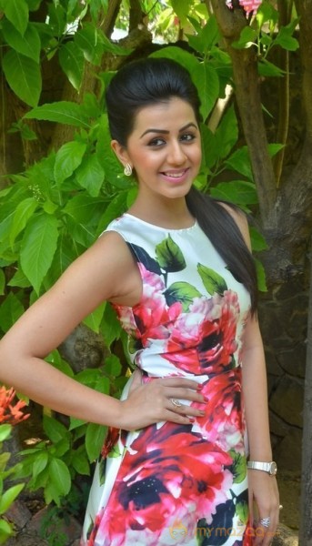 Nikki Galrani Latest Pics