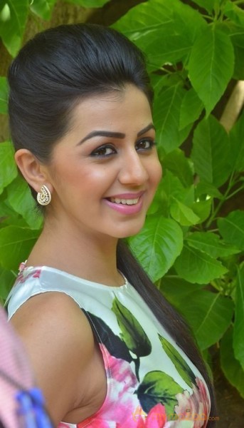 Nikki Galrani Latest Pics