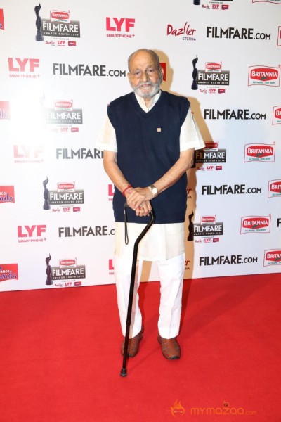 63rd Britannia South Filmfare Awards Stills